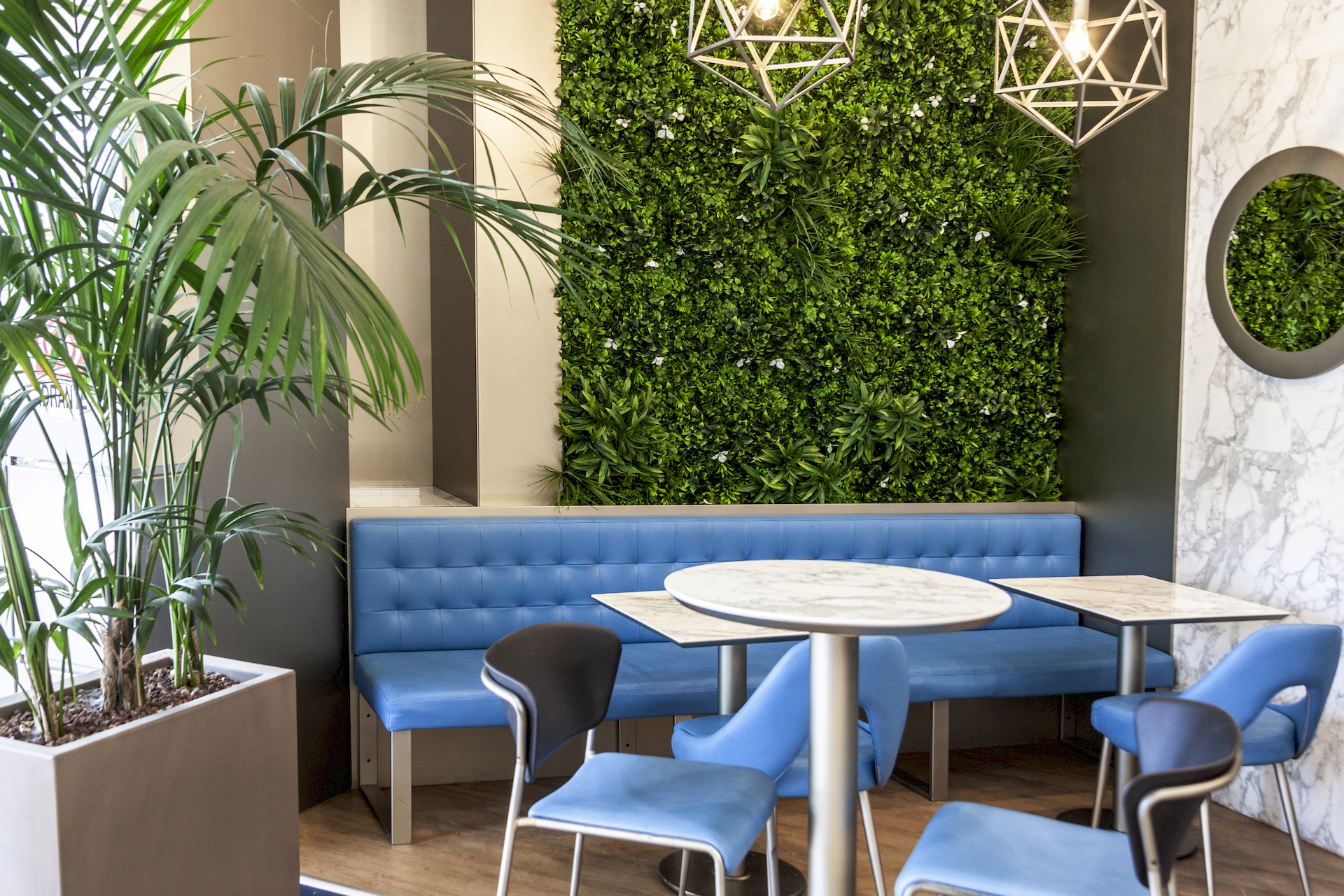 poltrone blu in pelle e piante del Bar Genius nel centro commerciale Le Colonne di Brindisi realizzato dal Gruppo Rodi